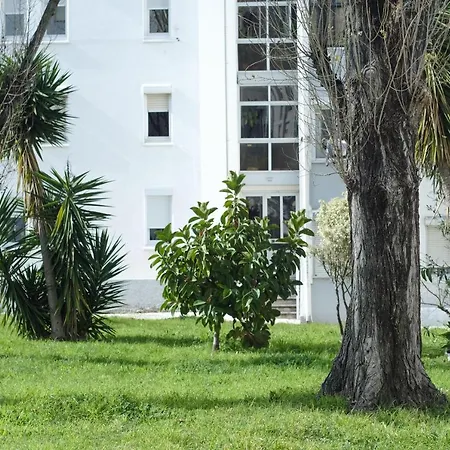 Olive Grove By Trip2portugal Apartment Lisbon